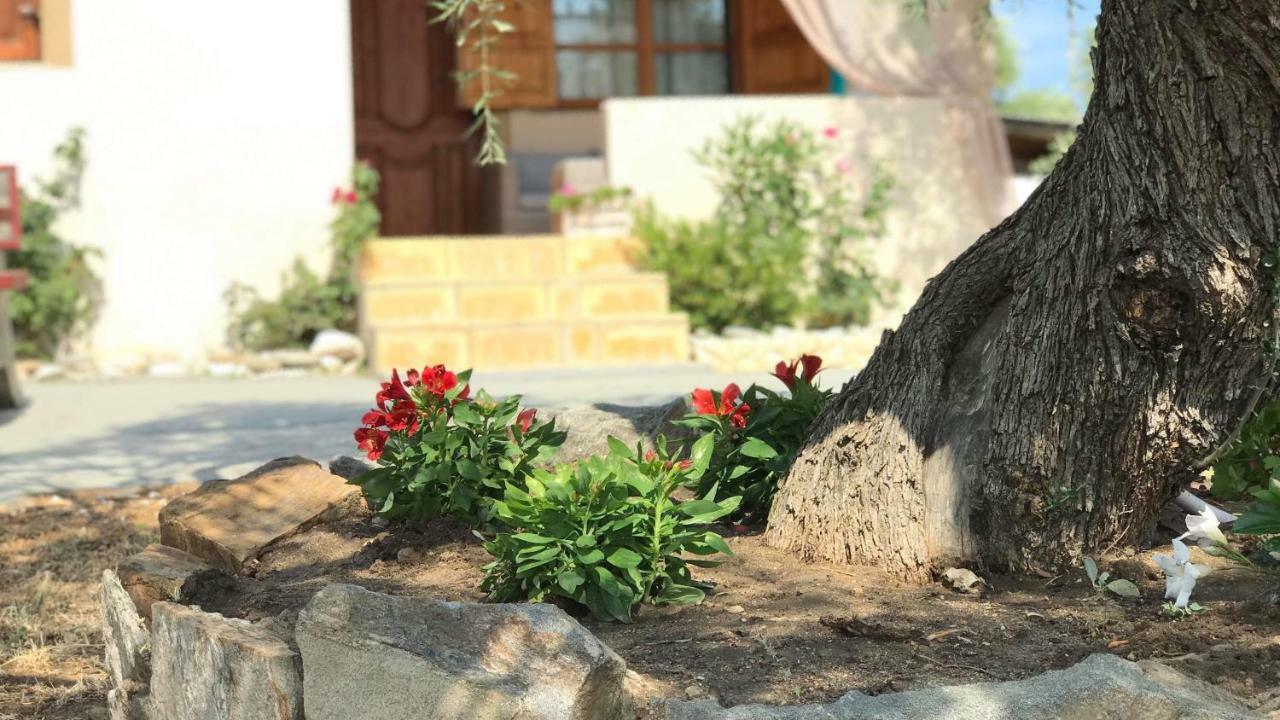 Dream House Villa Αλυκή Εξωτερικό φωτογραφία